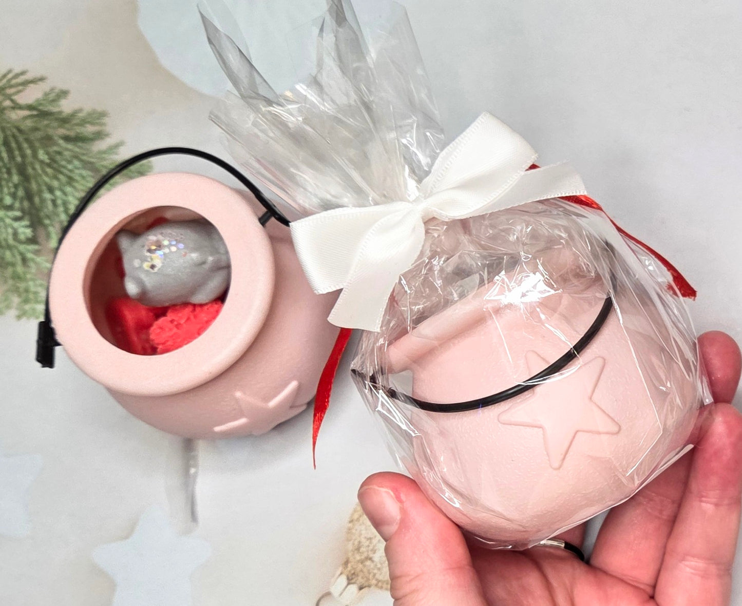 Christmas Suprise 🎄❄️