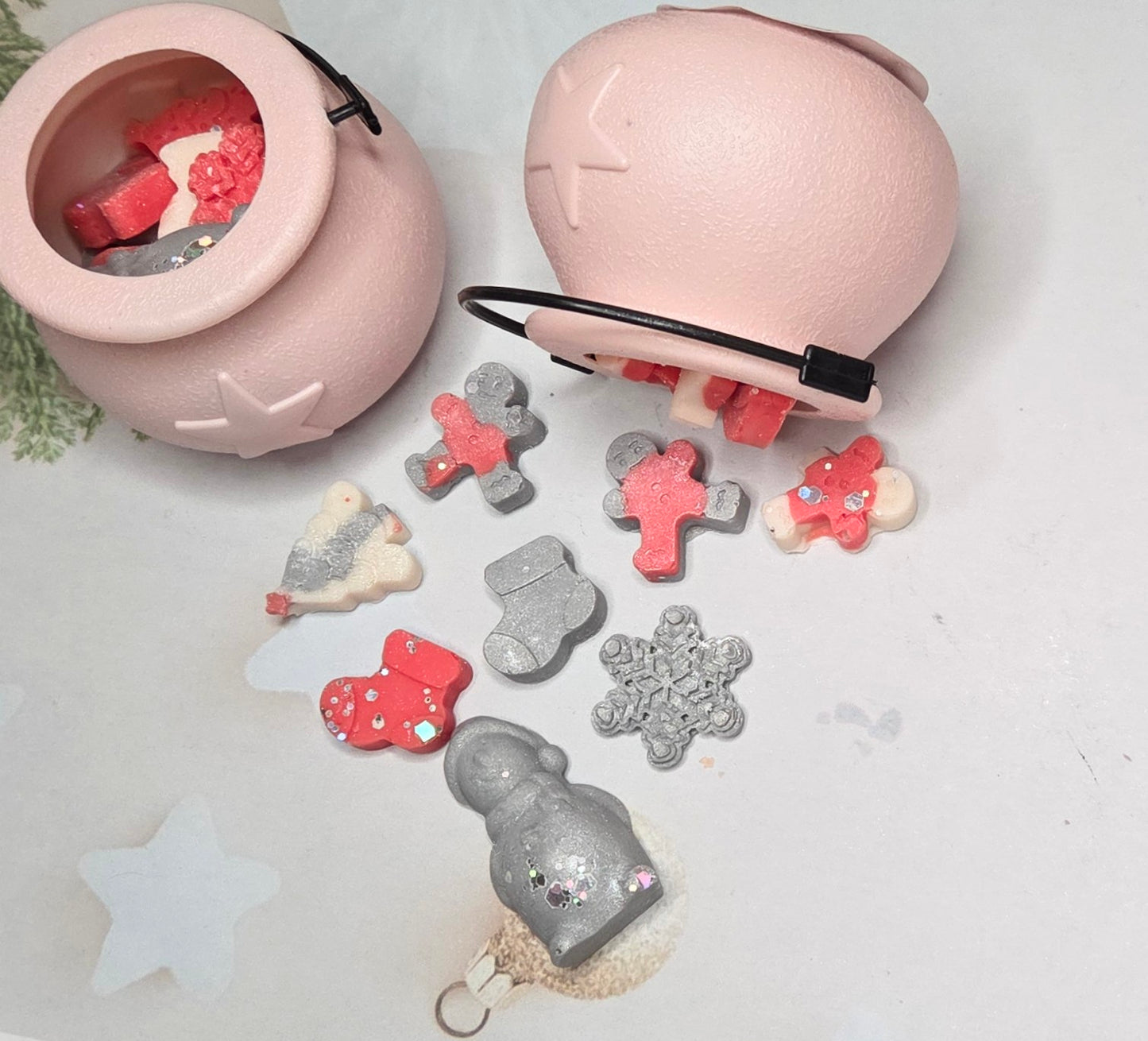 Christmas Suprise 🎄❄️