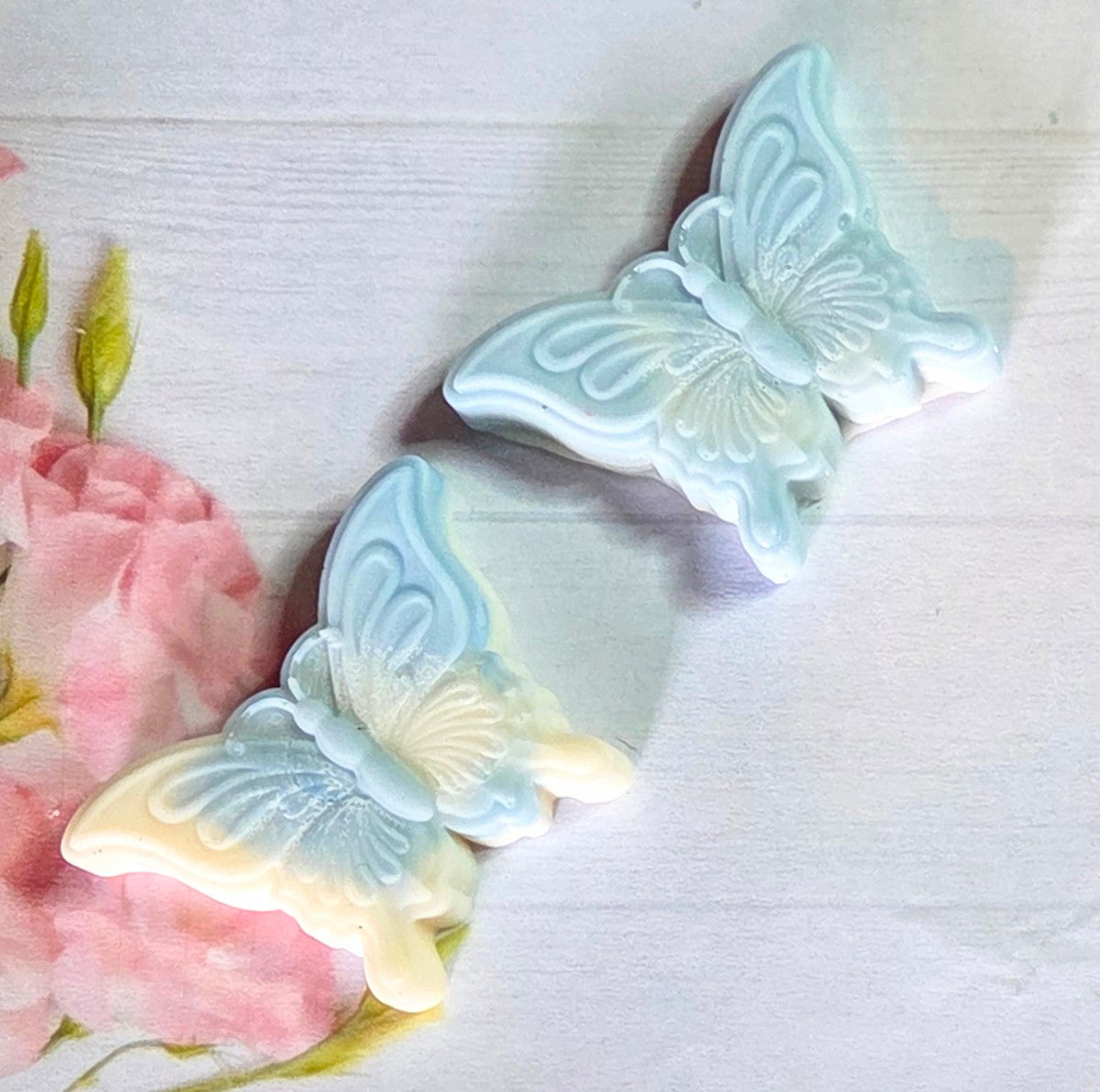 Butterfly 🦋