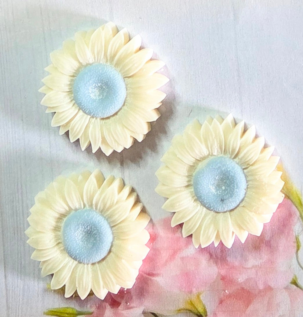 Daisy 🌼