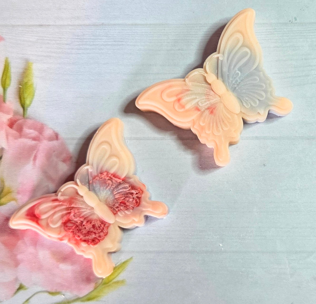 Butterfly 🦋